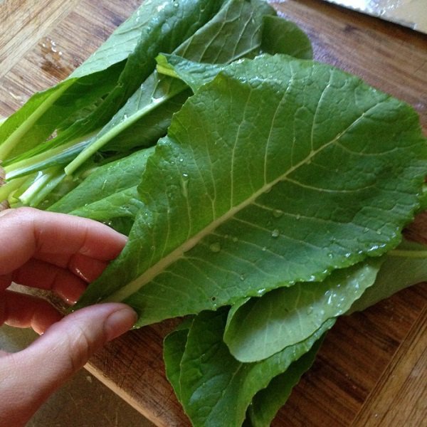 chi tiet cach trong rau cai len &#34;vun vut&#34; an moi mieng suot mua dong - 6