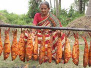 Bếp Eva - Cụ bà 106 tuổi mang cả rổ cá ra gốc dừa nướng hút 32 triệu view