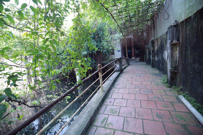 Giang Còi tiết lộ lý do lui về sống trong mảnh vườn 10.000m² ở quê - 1