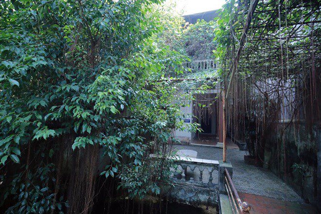 Giang Còi tiết lộ lý do lui về sống trong mảnh vườn 10.000m² ở quê - 2