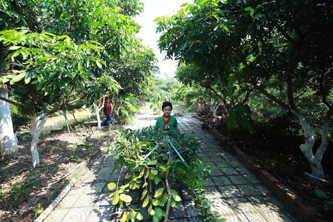 Giang Còi tiết lộ lý do lui về sống trong mảnh vườn 10.000m² ở quê - 6