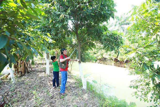 Giang Còi tiết lộ lý do lui về sống trong mảnh vườn 10.000m² ở quê - 7