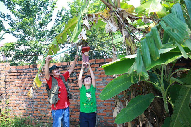 Giang Còi tiết lộ lý do lui về sống trong mảnh vườn 10.000m² ở quê - 8
