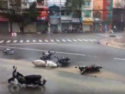 Tin tức - Chùm ảnh: Gió giật điên cuồng ở Nha Trang, xe máy bị quật ngã la liệt giữa đường