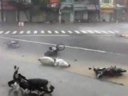 Tin tức - Thiệt hại do bão số 12: Đã có 20 người chết, 17 người mất tích