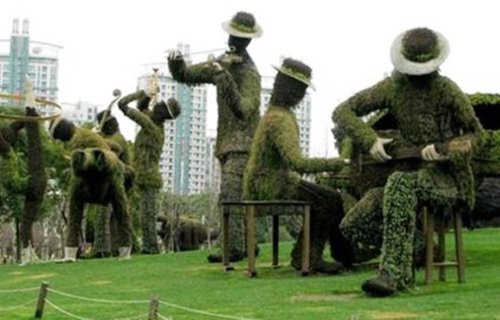 Giật mình bắt gặp cây “biến hóa” thành người, động vật... - 1