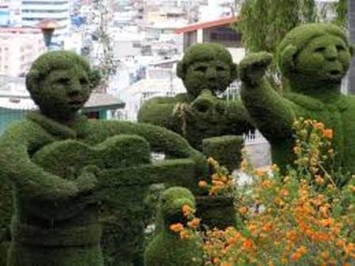 Giật mình bắt gặp cây “biến hóa” thành người, động vật... - 2