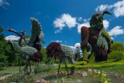 Giật mình bắt gặp cây “biến hóa” thành người, động vật... - 4