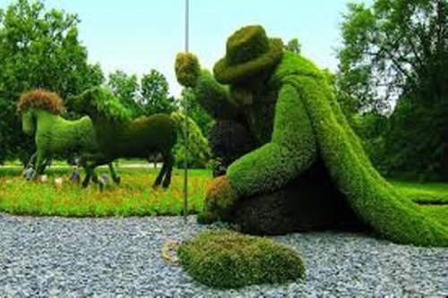 Giật mình bắt gặp cây “biến hóa” thành người, động vật... - 6