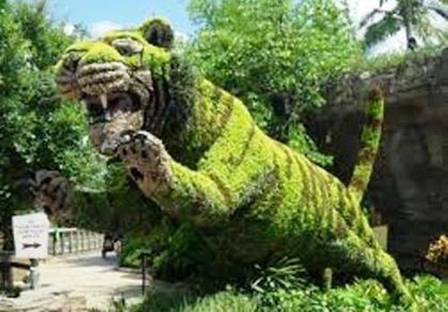 Giật mình bắt gặp cây “biến hóa” thành người, động vật... - 7