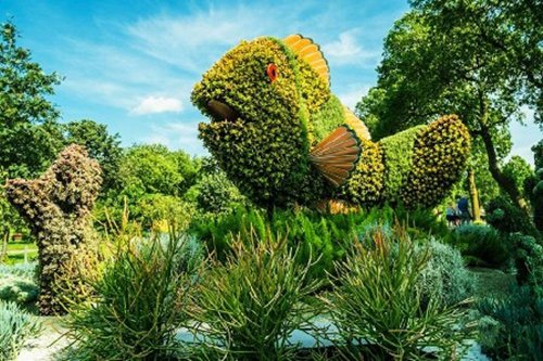 Giật mình bắt gặp cây “biến hóa” thành người, động vật... - 9