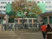 Tin tức - Nữ sinh 16 tuổi bí mật sinh con ở trường, được phát hiện ngất xỉu trên vũng máu