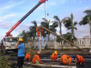 Tin tức - Nhận định bão số 12 chưa chính xác, gây thiệt hại nặng nề