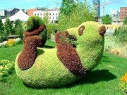 Nhà đẹp - Giật mình bắt gặp cây “biến hóa” thành người, động vật...