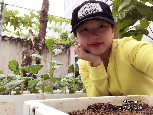 Vườn rau đáng ngưỡng mộ của mẹ Sóc Trăng từng amp;#34;trồng rau muống 3 tháng chưa được ănamp;#34; - 1