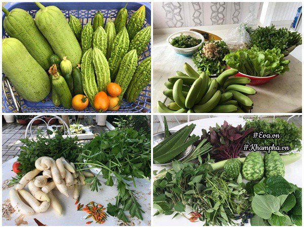 Vườn rau đáng ngưỡng mộ của mẹ Sóc Trăng từng amp;#34;trồng rau muống 3 tháng chưa được ănamp;#34; - 15