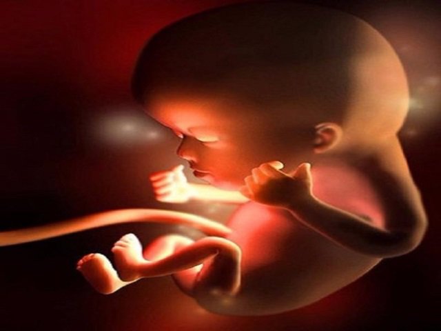 Bỏ ngoài tai lời khuyên bác sĩ, sản phụ khóc ngất khi thai nhi chết lưu ở tuần 37 - 2