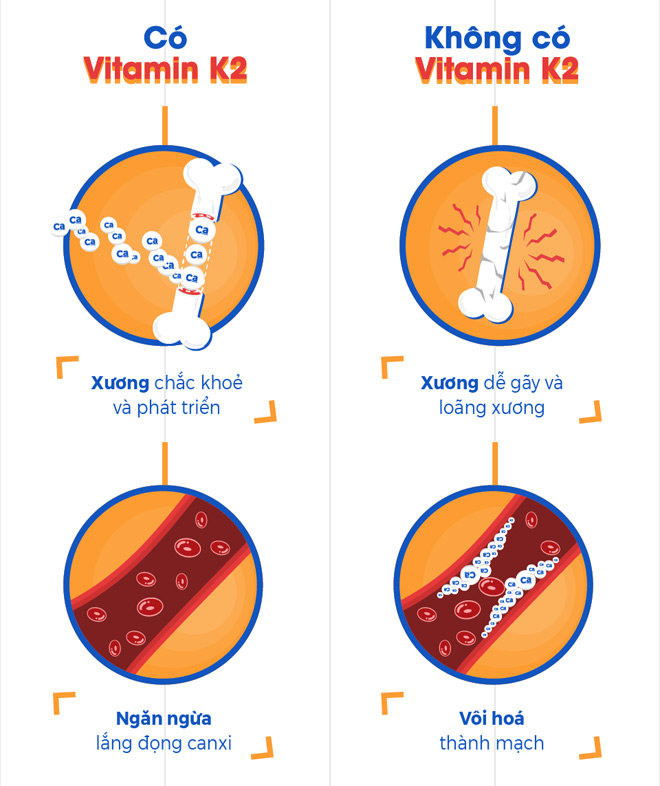 Muốn trẻ cao lớn, không thể bỏ qua Vitamin K2 - 3