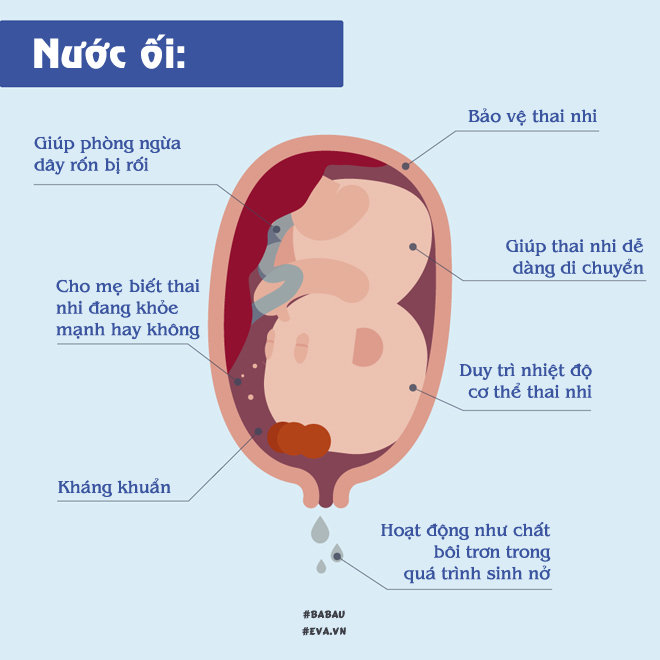 3 việc mẹ bầu nhớ phải làm để tốt nhất cho nguồn nước ối - 2
