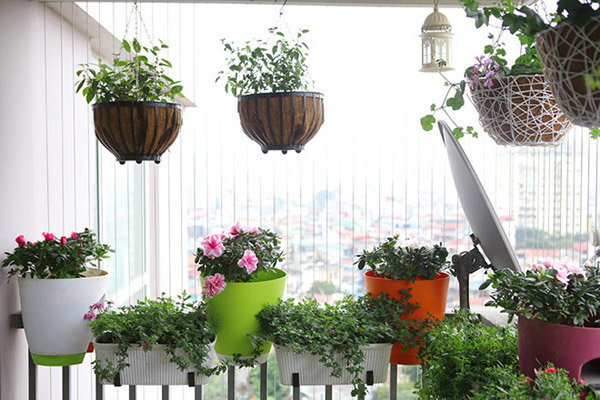 Muốn trồng rau, hoa mà nhà chật thì nhất định phải sắm những kiểu chậu treo  này