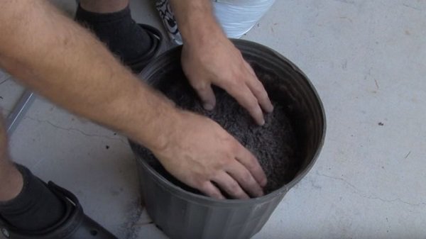 Lạ đời cách trồng cà chua amp;#34;thái miếngamp;#34; chỉ mất vài phút, sau được cả vườn cà chua sai trĩu - 7