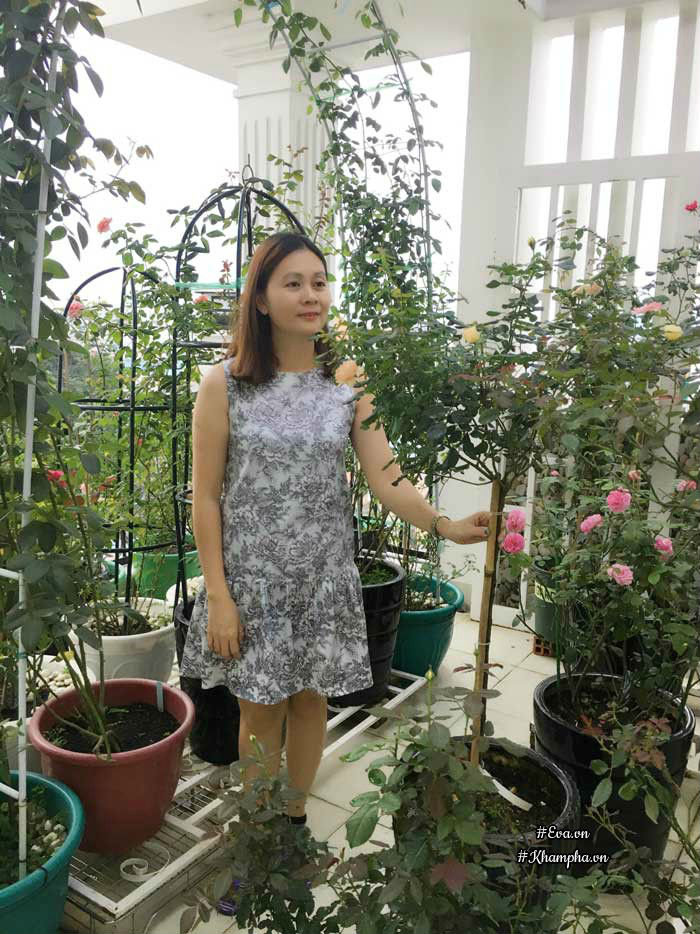 Chỉ mới trồng được 8 tháng nhưng mẹ Sài Gòn đã có vườn hoa hồng sân thượng tuyệt đẹp - 1