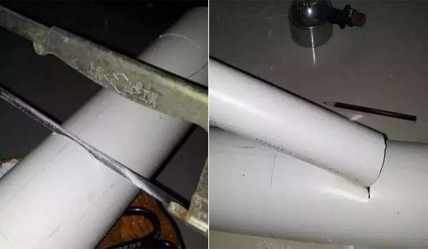 1001 cách tận dụng ống nhựa không ngờ để làm vườn, vừa nhàn vừa tiết kiệm - 2