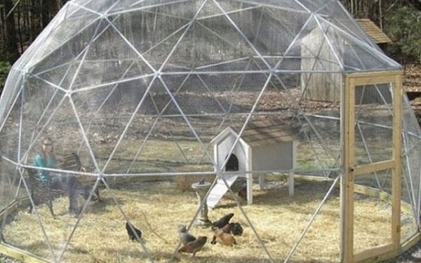 1001 cách tận dụng ống nhựa không ngờ để làm vườn, vừa nhàn vừa tiết kiệm - 8