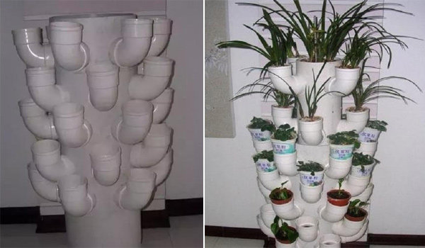 1001 cách tận dụng ống nhựa không ngờ để làm vườn, vừa nhàn vừa tiết kiệm - 5