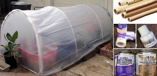 1001 cách tận dụng ống nhựa không ngờ để làm vườn, vừa nhàn vừa tiết kiệm - 6