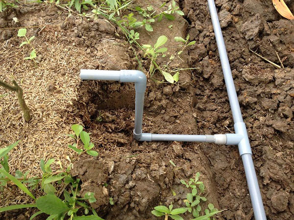 1001 cách tận dụng ống nhựa không ngờ để làm vườn, vừa nhàn vừa tiết kiệm - 7