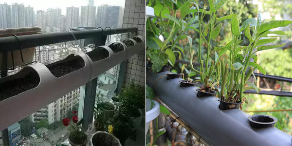 1001 cách tận dụng ống nhựa không ngờ để làm vườn, vừa nhàn vừa tiết kiệm - 4