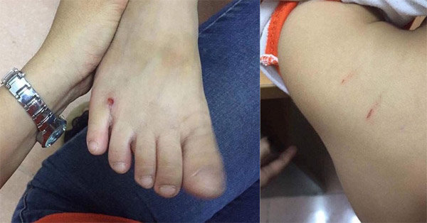 Vụ cô giáo bạo hành con riêng của chồng: “Tôi khóc run khi quay clip con bị mẹ kế đánh” - 3