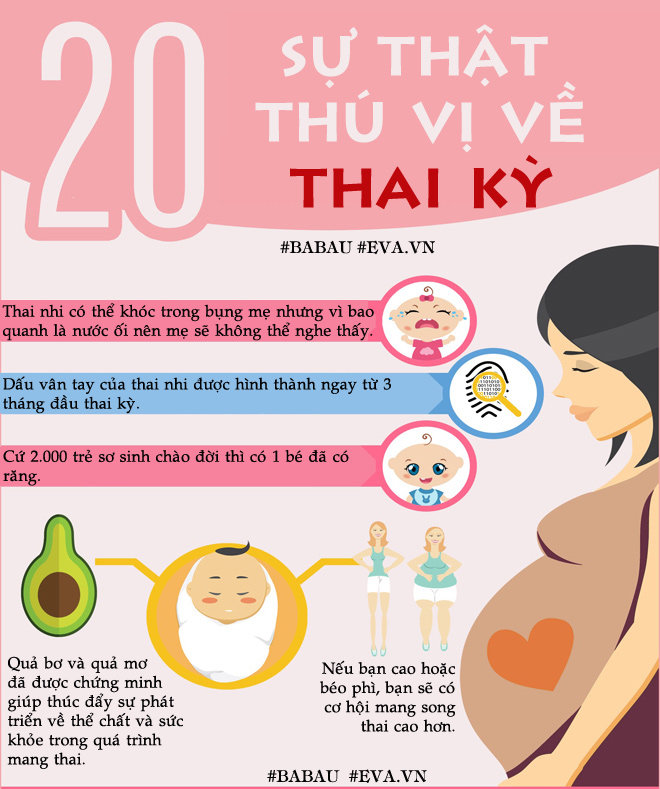 20 sự thật thú vị về thai kỳ, đang mang bầu nhưng chưa chắc bạn đã biết - 1
