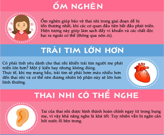 20 sự thật thú vị về thai kỳ, đang mang bầu nhưng chưa chắc bạn đã biết - 2