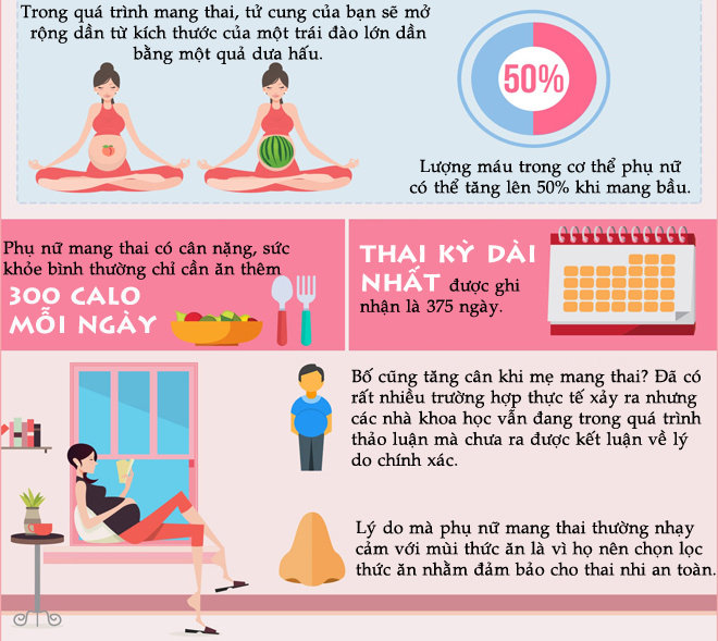 20 sự thật thú vị về thai kỳ, đang mang bầu nhưng chưa chắc bạn đã biết - 4