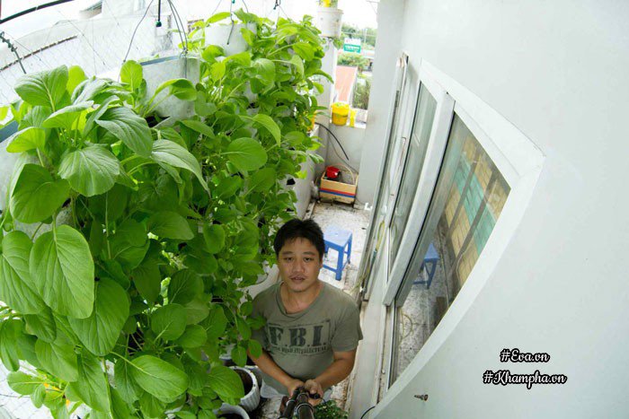 Ban công rau sạch chỉ 3.6m² đầy ắp kỷ niệm trồng rau dở khóc, dở cười của ông bố 9x - 1