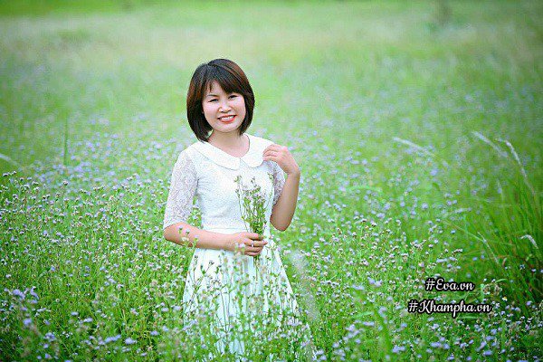 ban cong von ven 3m² co tram goc hong dua no sang ruc chung cu cua me ha thanh - 1