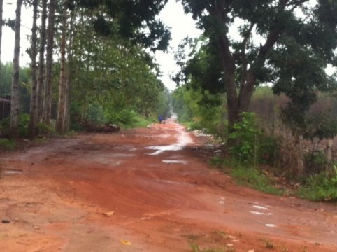 Căn nguyên nào khiến người phụ nữ hết lòng yêu con bỗng thành kẻ đầu độc cả con và mình - 1