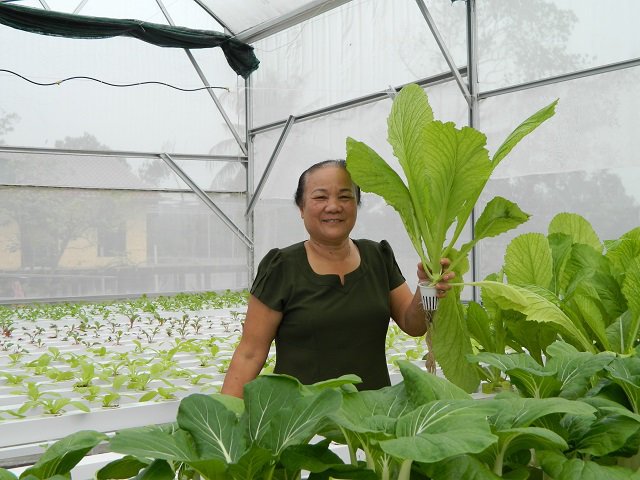 Cụ bà U70 trẻ lại chục tuổi nhờ vườn rau thủy canh đẹp như mơ - 11