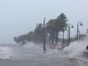 Tin tức - Tin bão mới nhất: Bão số 14 giật cấp 11 nhắm thẳng Nam Trung Bộ, TP.HCM tổ chức họp khẩn