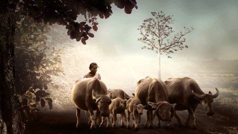 Bí mật ngôi làng kì lạ suốt 50 năm không có đứa trẻ nào ra đời - 1