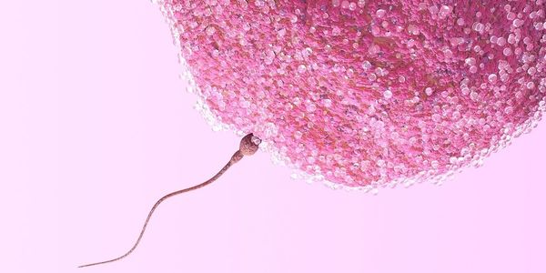 Thụ thai: Chẳng hề dễ dàng như bạn tưởng! - 4