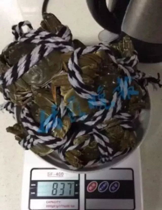 Thảm họa mua hàng qua mạng: Chi 5,5 triệu đồng nhận 10 con cua chỉ to hơn đồng xu - 3