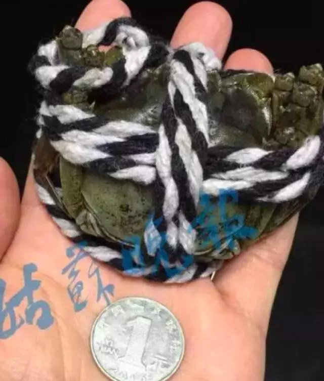 Thảm họa mua hàng qua mạng: Chi 5,5 triệu đồng nhận 10 con cua chỉ to hơn đồng xu - 1