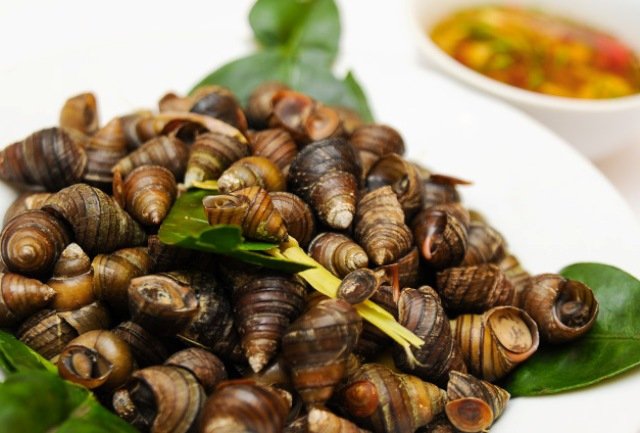 Cách chọn, làm sạch và luộc ốc giòn ngon đến ai cũng phải hỏi bí quyết - 1