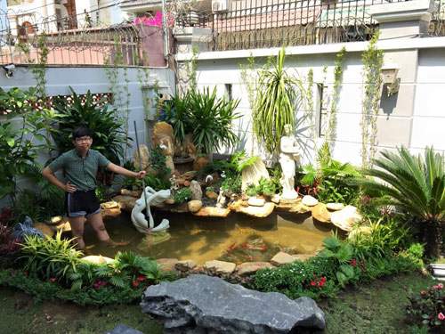 Hồ cá Koi bạc tỷ đẹp đến từng chi tiết của Cao Thái Sơn - 8