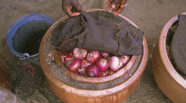 Kì lạ chiếc amp;#34;tủ lạnhamp;#34; không cần cắm điện vẫn giữ thực phẩm tươi ngon gấp 9 lần bình thường - 5