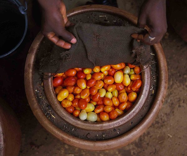 Kì lạ chiếc amp;#34;tủ lạnhamp;#34; không cần cắm điện vẫn giữ thực phẩm tươi ngon gấp 9 lần bình thường - 3