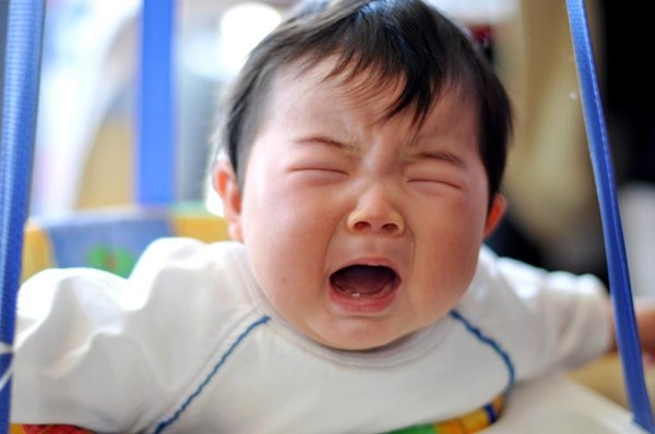 Từng ăn rong khắp xóm, giờ đây con tôi vẫn khỏe mạnh, thông minh - 1